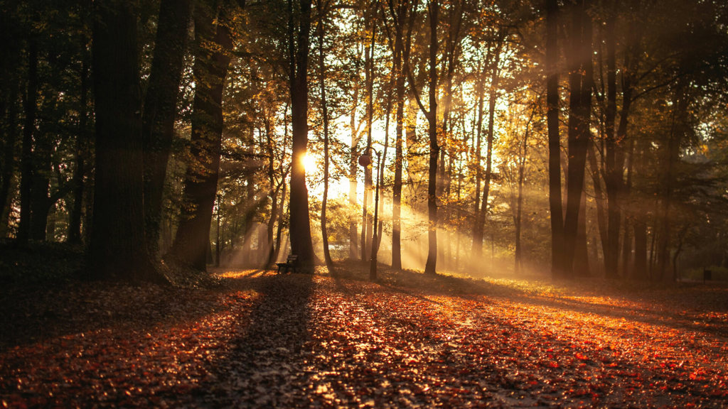 Autumn Moods: The Melancholy of Fingerstyle