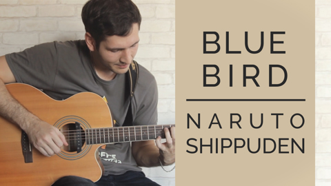 [Naruto Shippuden] Blue Bird - Ikimono Gakari (Fingerstyle Guitar Cover)